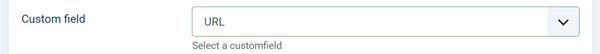URL custom field in the module